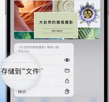 越西apple维修中心分享iPhone文件应用中存储和找到下载文件