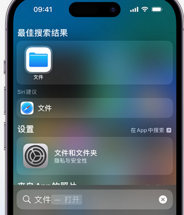 越西apple维修中心分享iPhone文件应用中存储和找到下载文件 