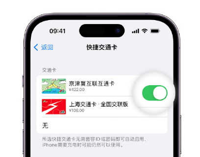 越西apple维修点分享iPhone上更换Apple Pay快捷交通卡手绘卡面 