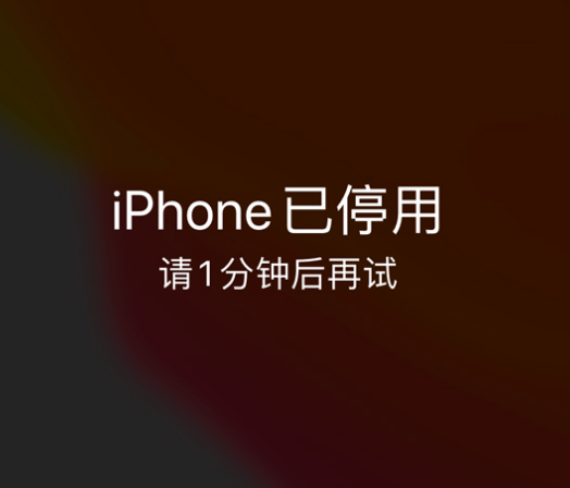 越西苹果手机维修分享:iPhone 显示“不可用”或“已停用”怎么办？还能保留数据吗？ 