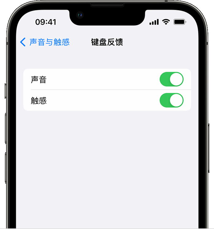 越西苹果14维修店分享如何在 iPhone 14 机型中使用触感键盘 