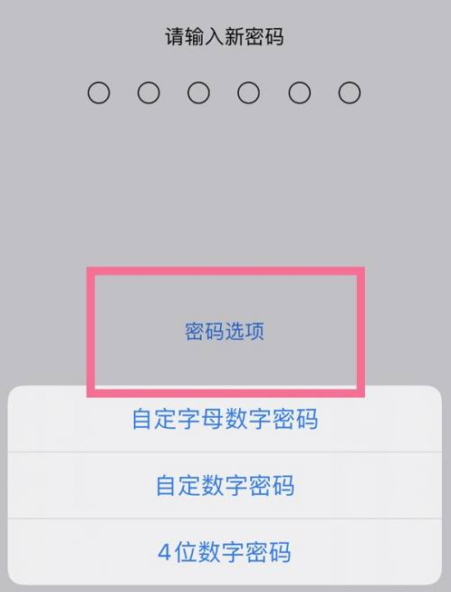 越西苹果14维修分享iPhone 14plus设置密码的方法 