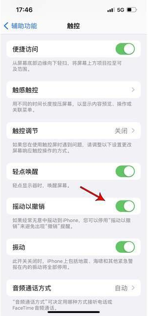 越西苹果手机维修分享iPhone手机如何设置摇一摇删除文字 